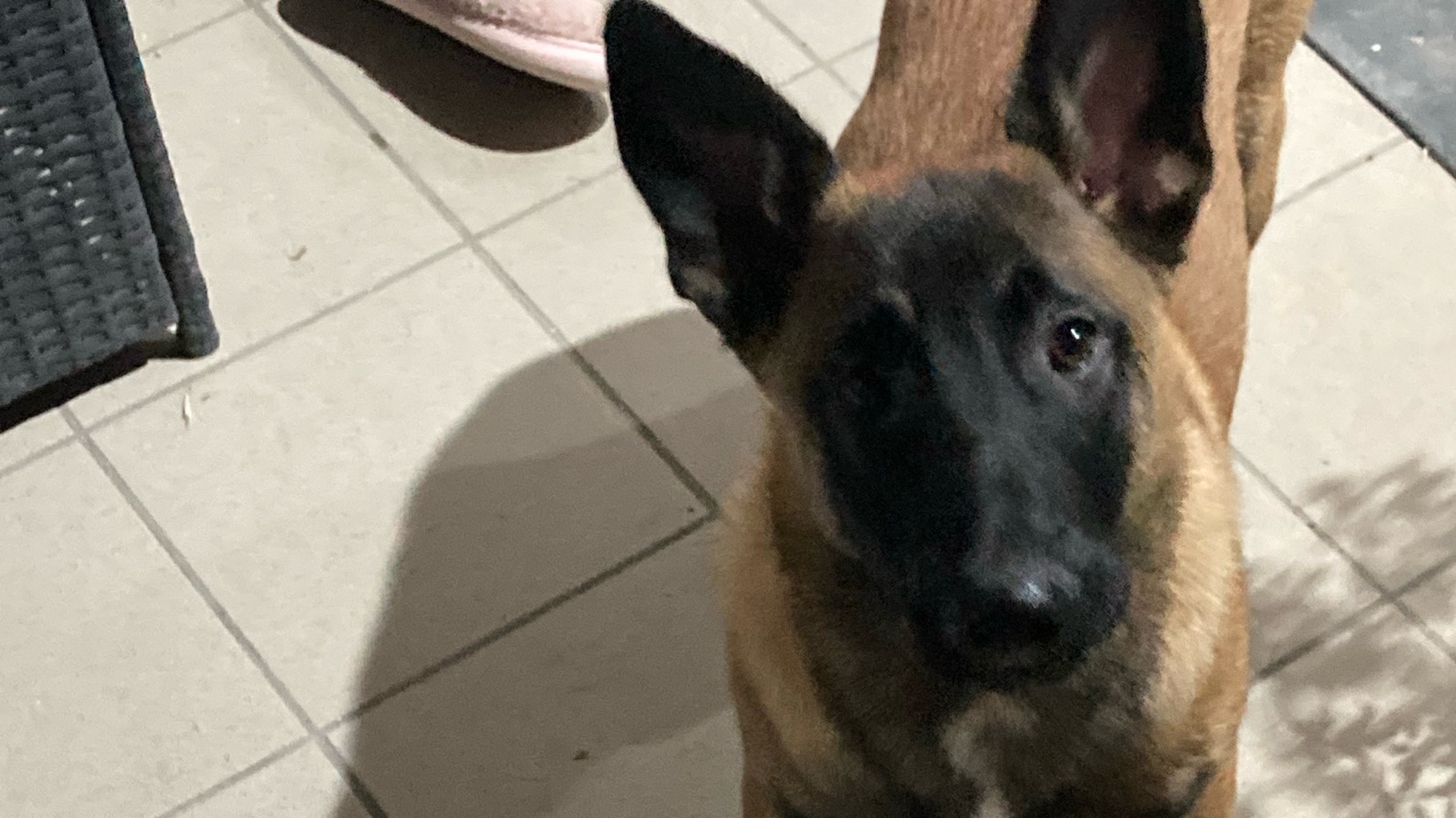 Don contre bon soin et surtout à une personne ayant le temps .