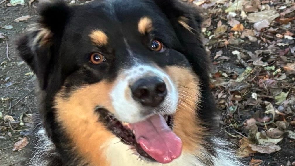 Recherche une famille photo 3