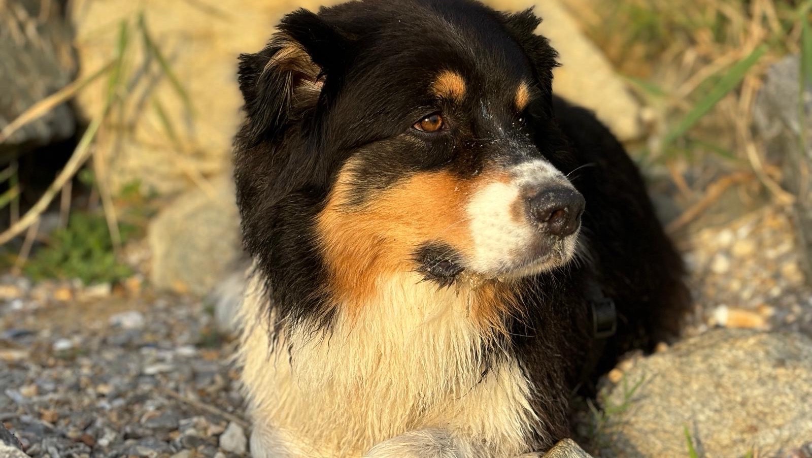 Recherche une famille photo 2