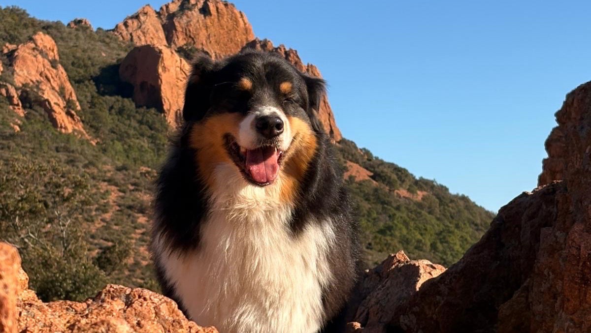 Recherche une famille photo 4