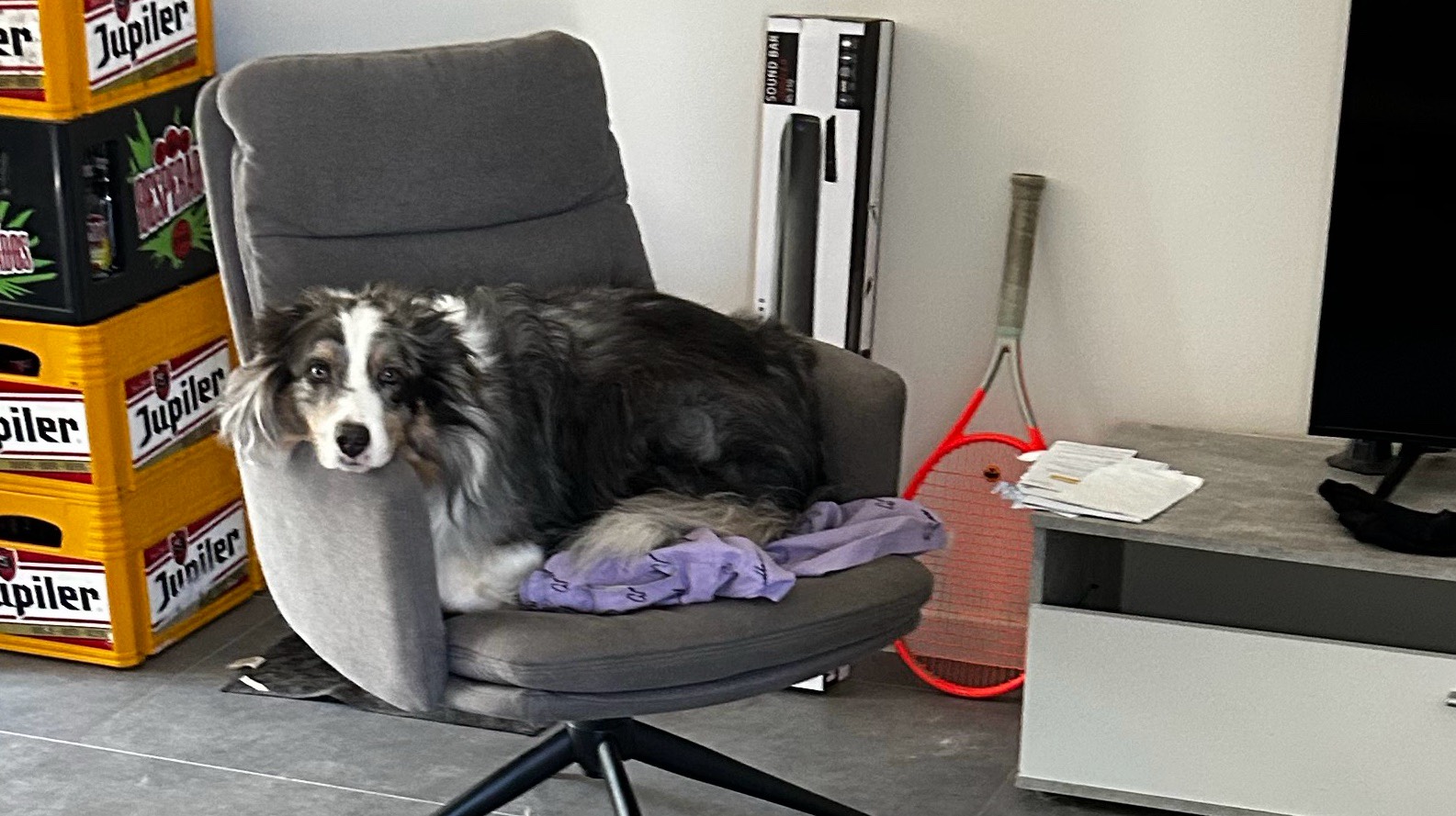 Cherche une bonne famille