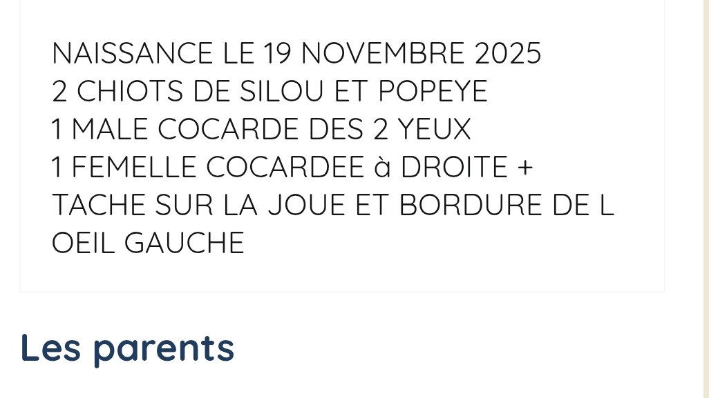 Chiots jack Russell Terrier LOF photo 5