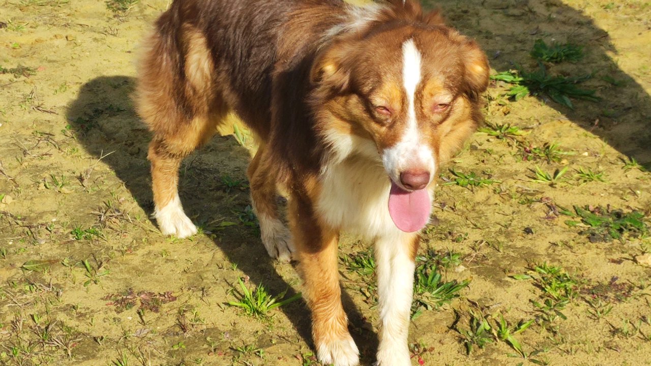 VICTOIRE du champ de l'ormeau photo 2