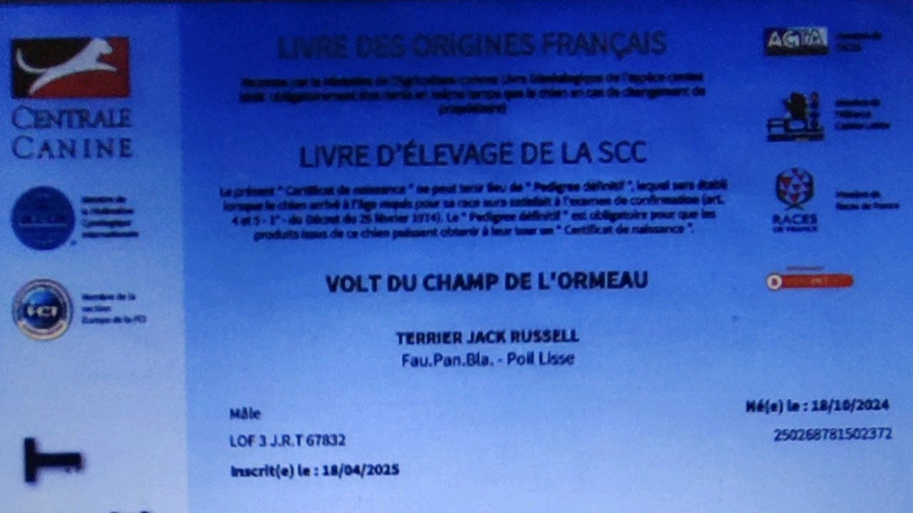 Volt du champ de l'ormeau photo 3