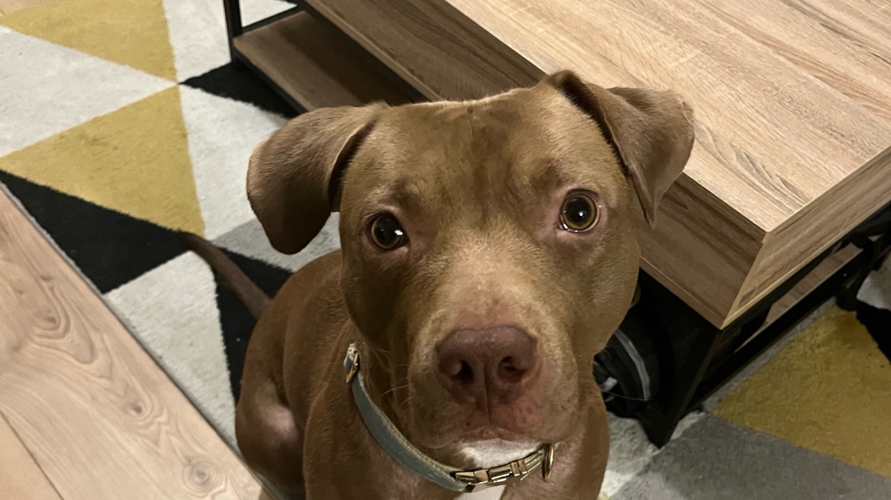 Croise Staff Plein d’amour photo 2