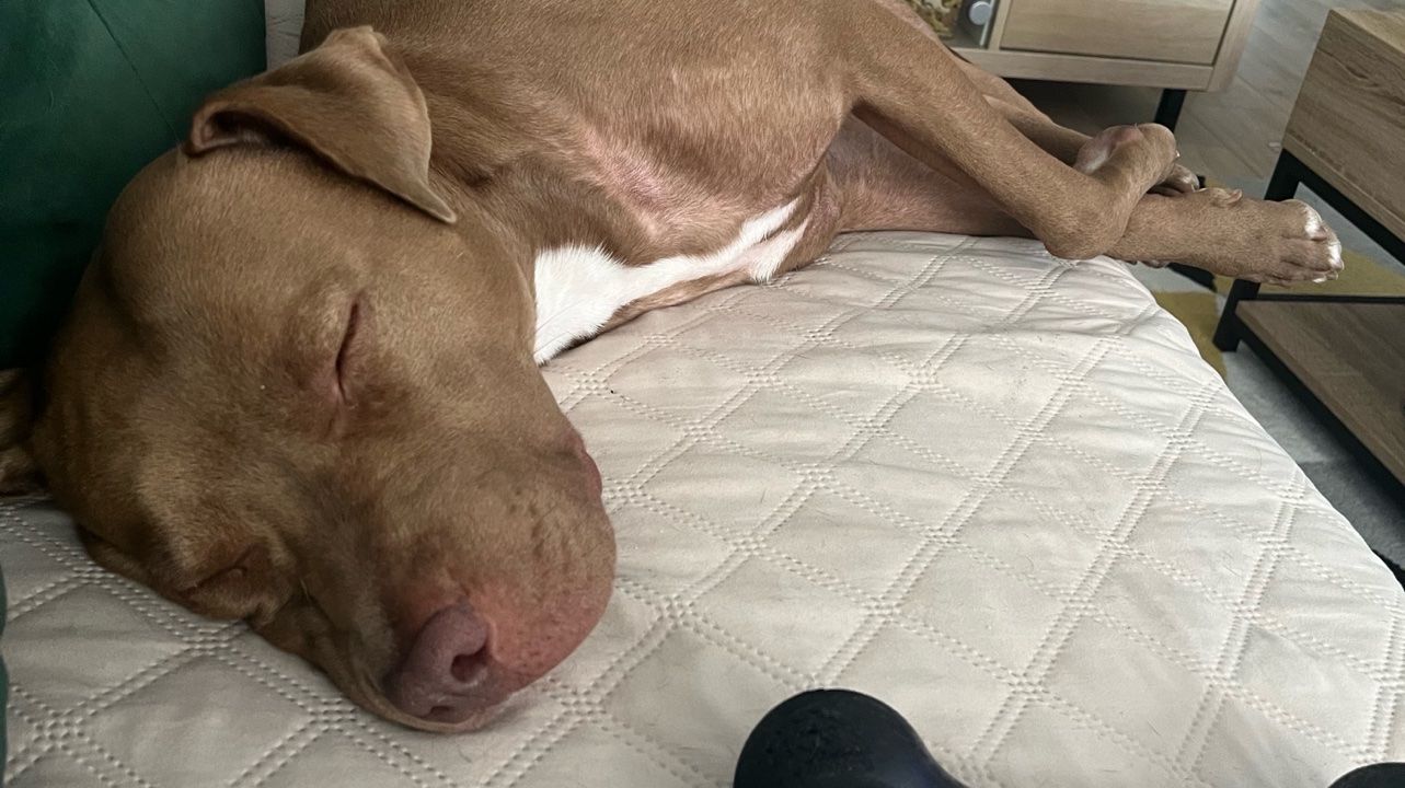 Croise Staff Plein d’amour photo 4