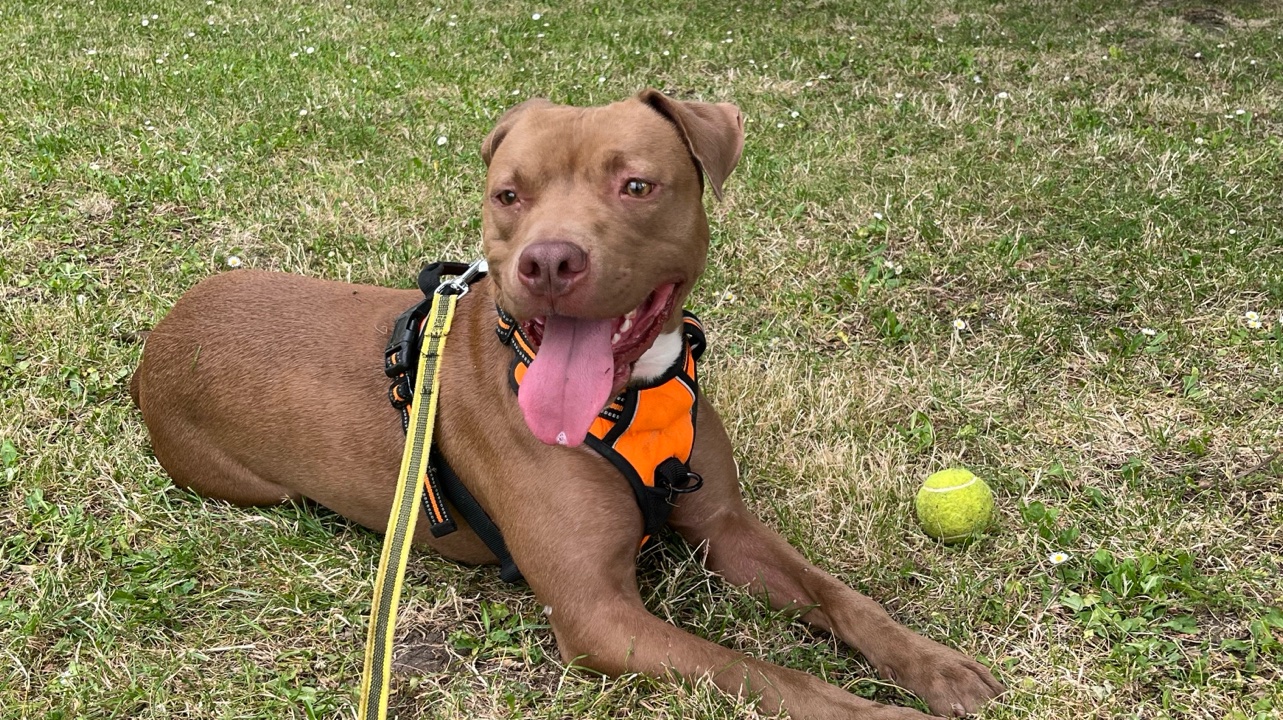 Croise Staff Plein d’amour photo 3