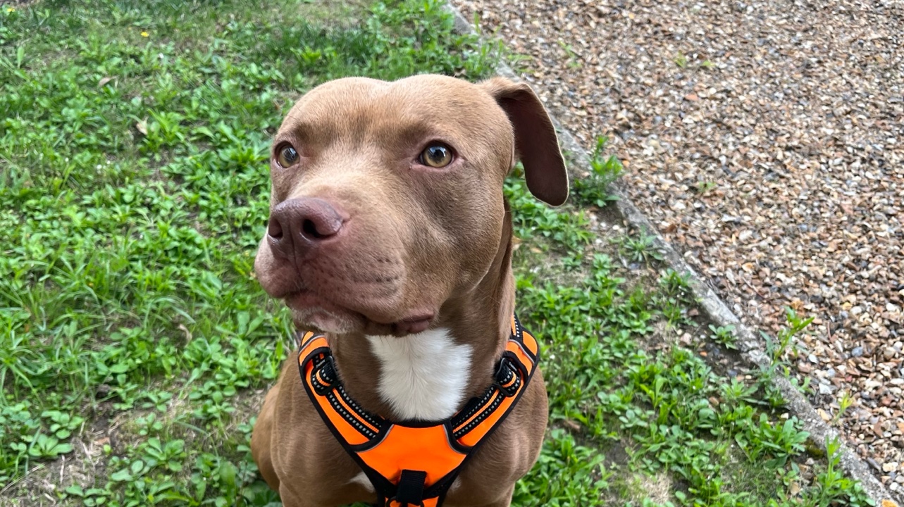 Croise Staff Plein d’amour