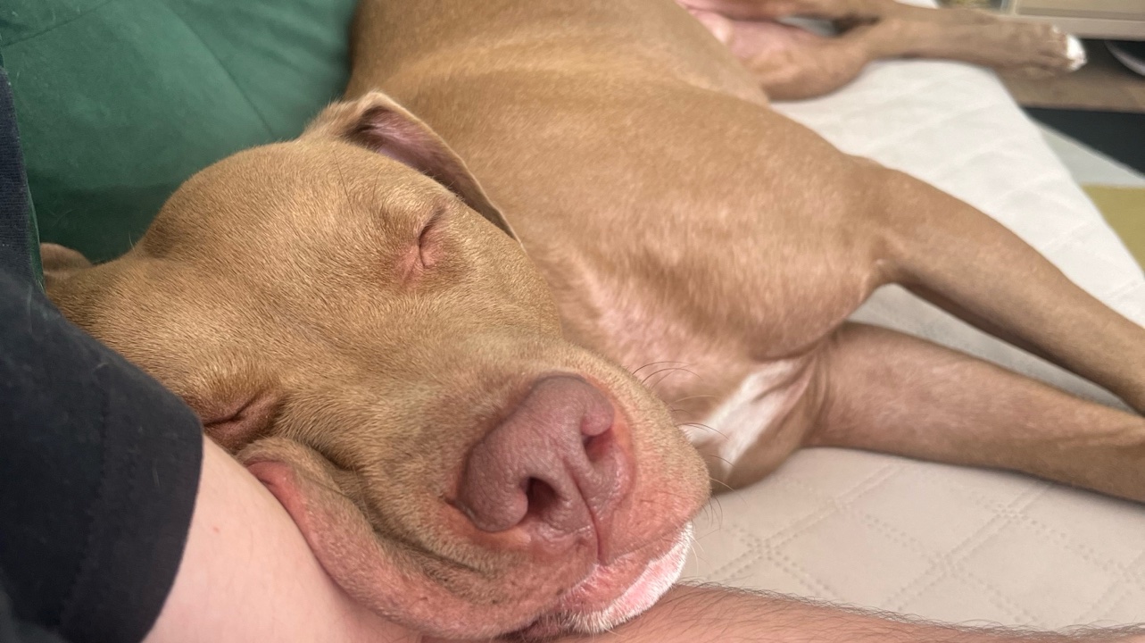 Croise Staff Plein d’amour photo 5