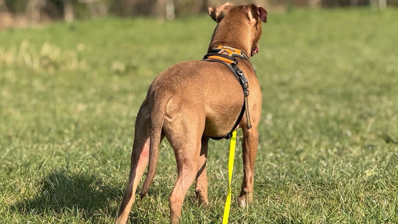 Croise Staff Plein d’amour photo 6