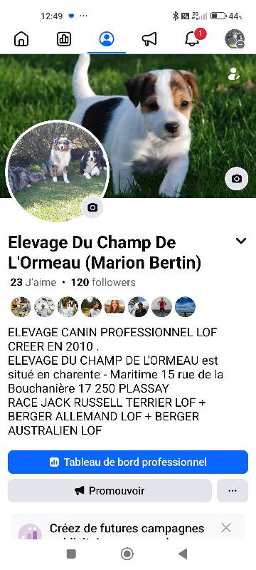 Élevage Du Champ De L'ormeau