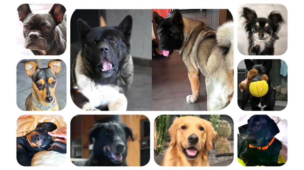 Garde individuelle et familiale photo 4