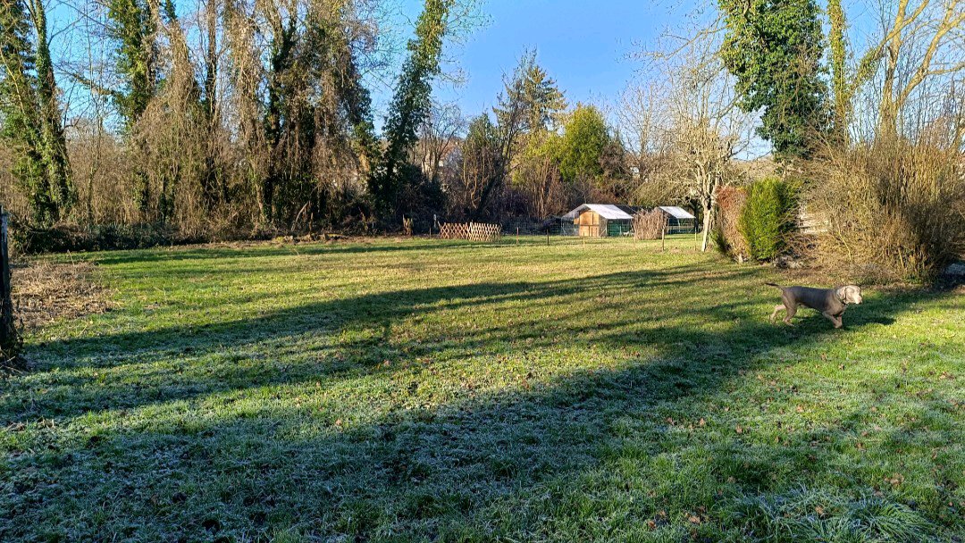 La colo, chaque jour est une fête à quatre pattes ! photo 3