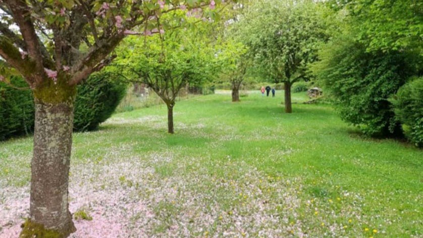 La colo, chaque jour est une fête à quatre pattes ! photo 2