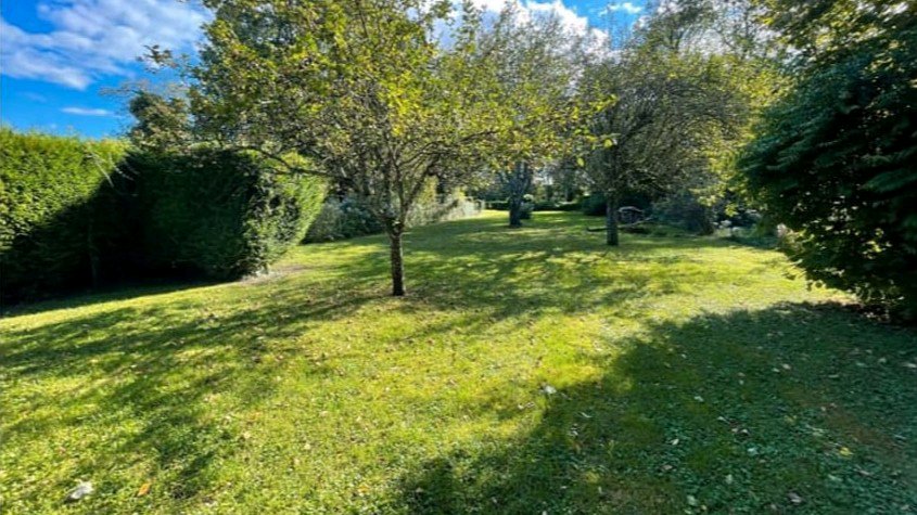 La colo, chaque jour est une fête à quatre pattes !