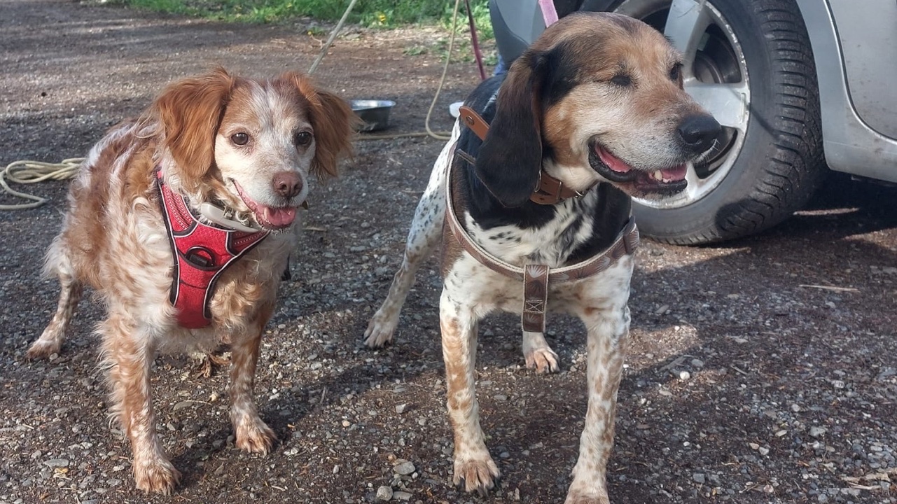 Balades pour les loulous photo 2