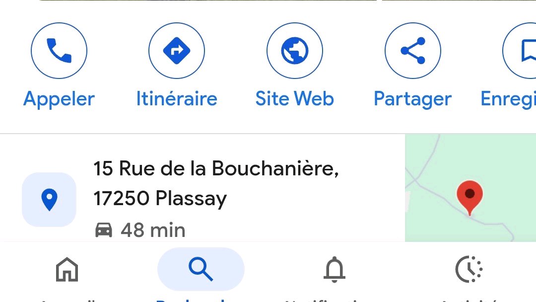 Pension canine en Charente Maritime à Plassay à côté de Saintes photo 3