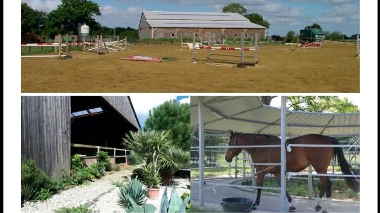 Pension canine en Charente Maritime à Plassay à côté de Saintes photo 5