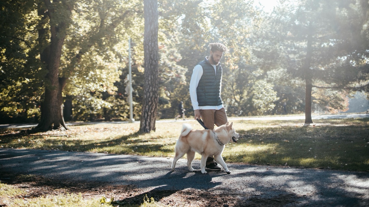 Explor’Pattes : Promenade en plein Air