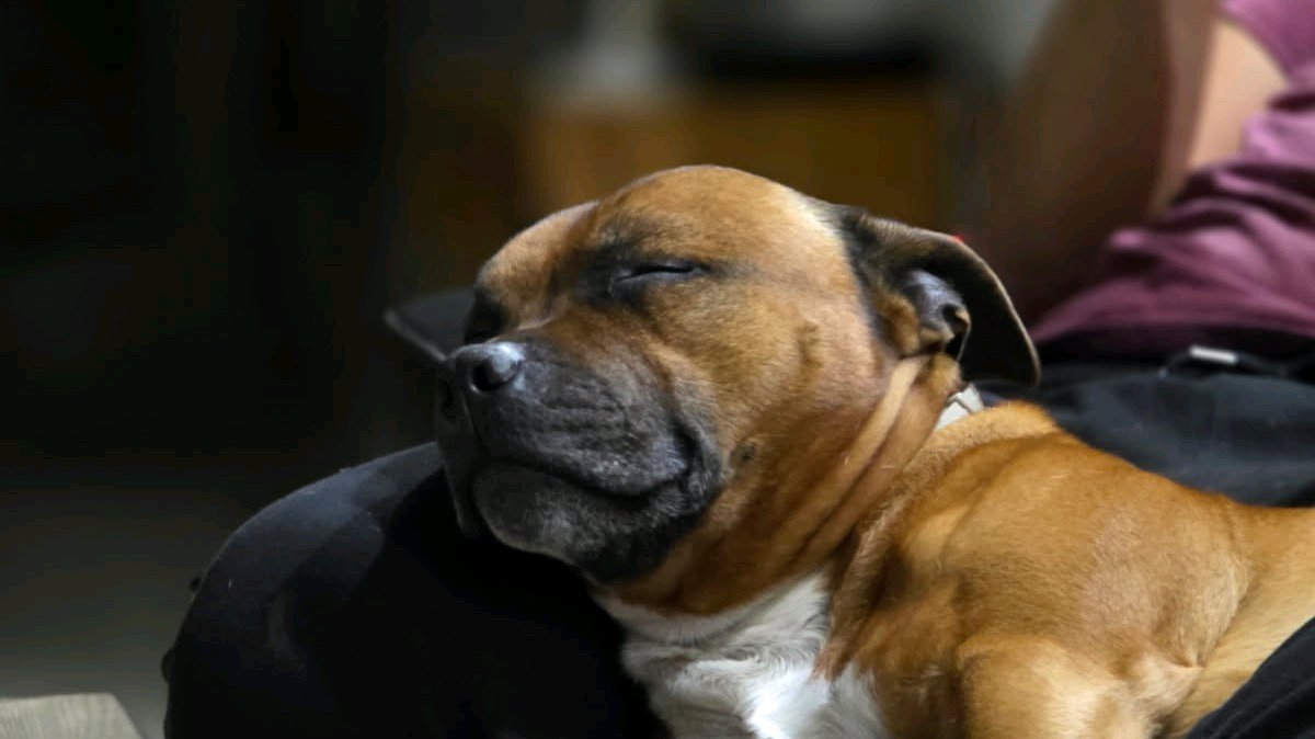 Visite  30 min photo 2