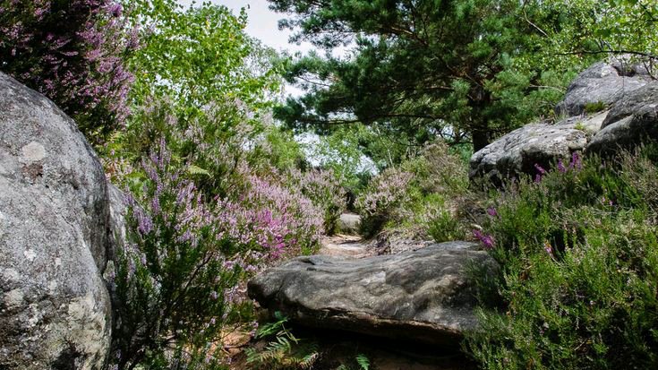 Visite (négociation possible!)