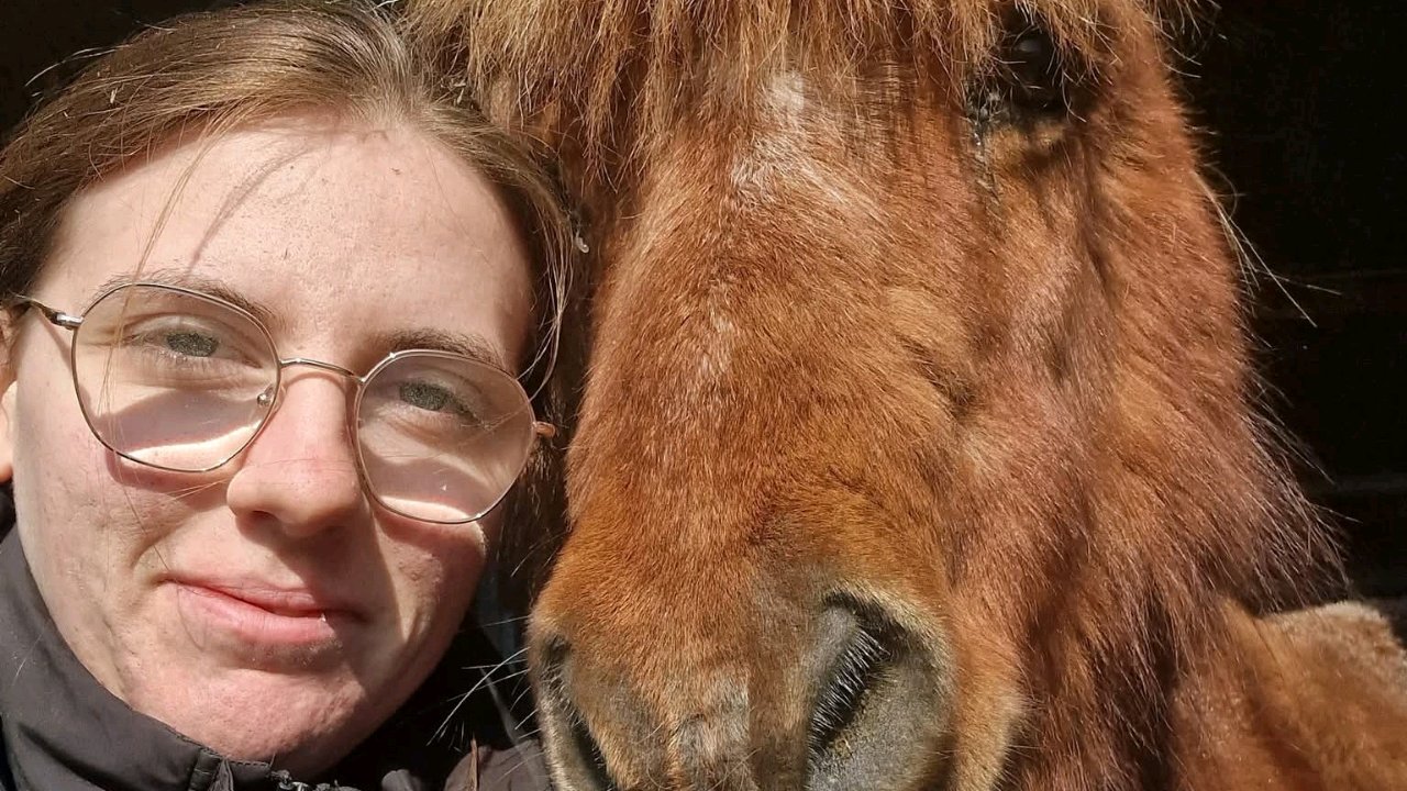 Gardiennage d animaux de compagnie